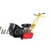 McLane 20" Front-Throw Reel Mower with Touch-a-matic Engine Clutch Control   570451043